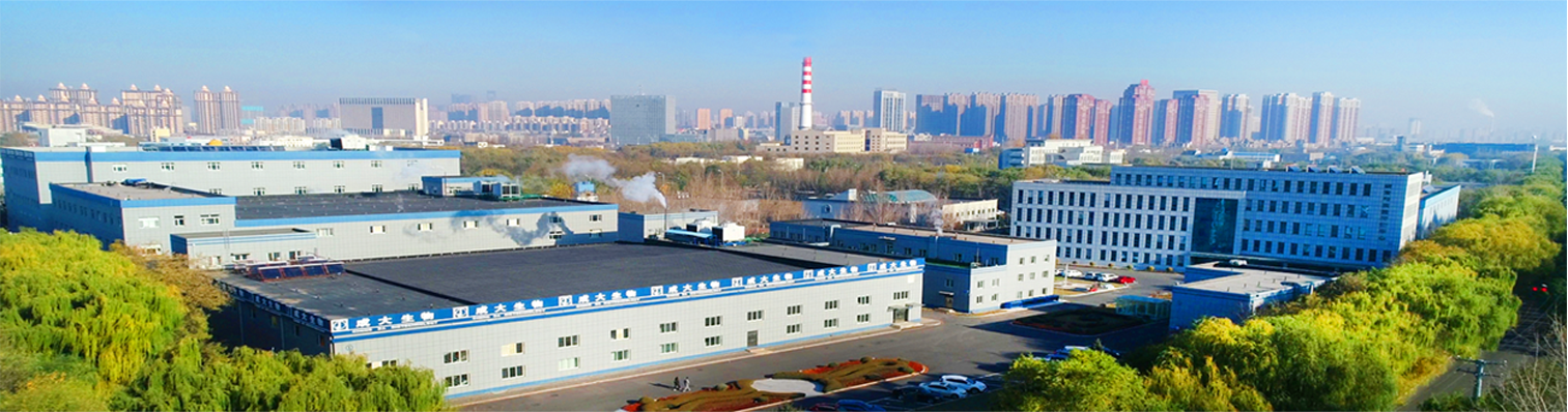 Bevictor伟德生物(图2)